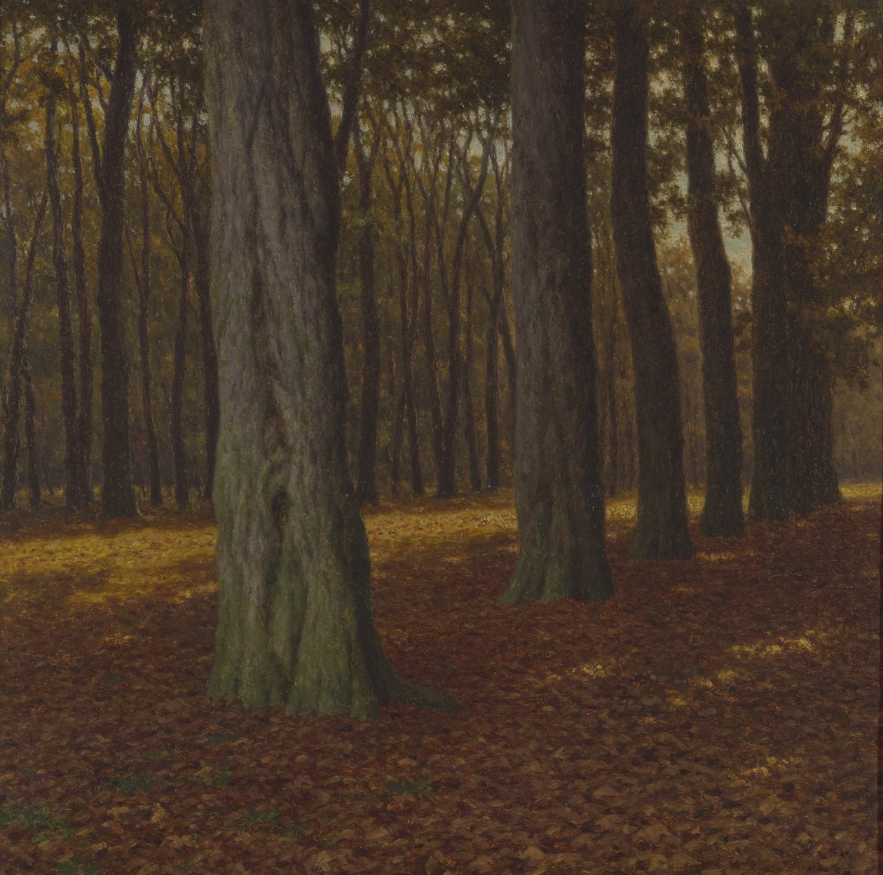 树林风景（布面油画） 作者 伊凡（Ivan Fedorovich Choultse）
