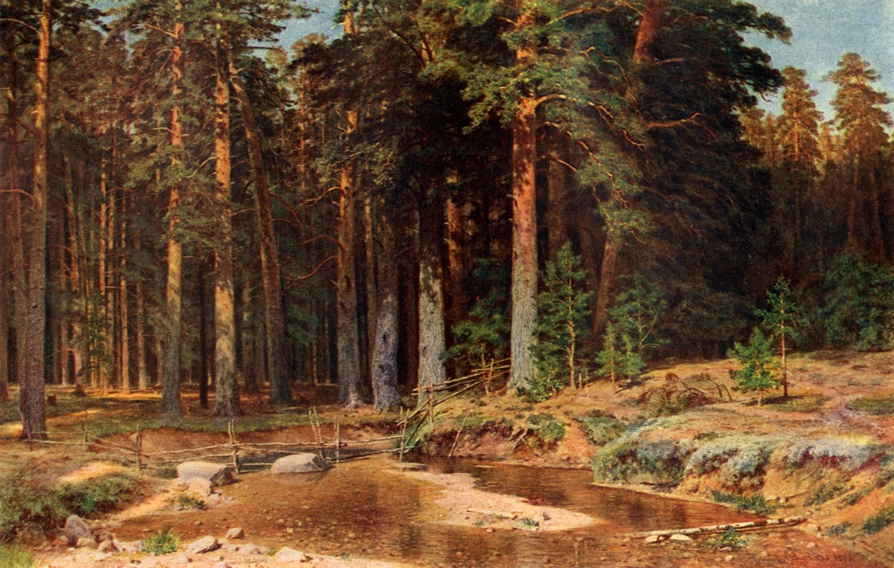 松林（Pine Grove），1898年，1939年。 作者 伊万·伊万诺维奇·希什金