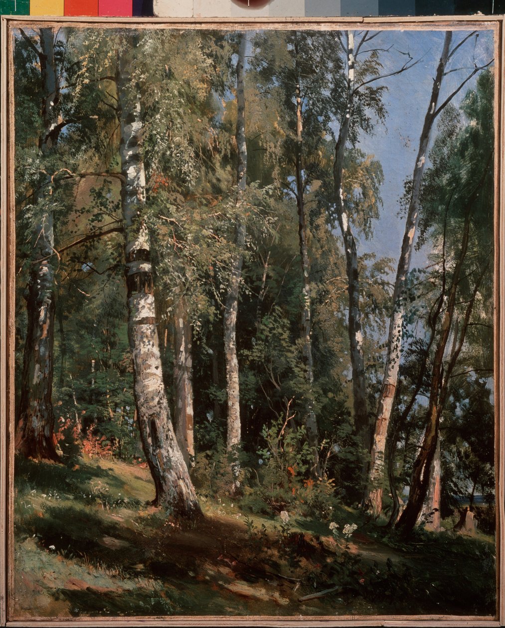 白桦林 - 伊万-伊万诺维奇-希什金（奇奇金）（1832-1898 年）的油画，布面油画 作者 伊万·伊万诺维奇·希什金