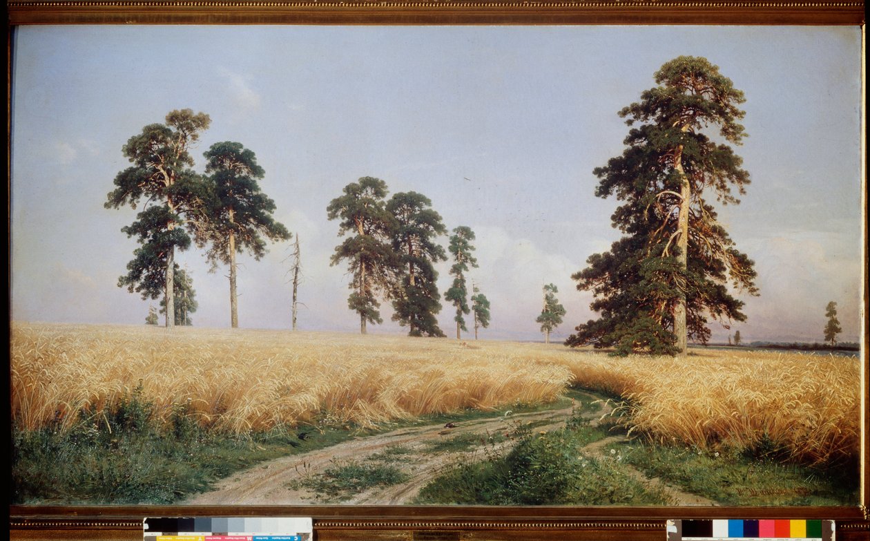 黑麦田 - 伊万-伊万诺维奇-希什金（奇奇金）（1832-1898 年）的油画，布面油画 作者 伊万·伊万诺维奇·希什金