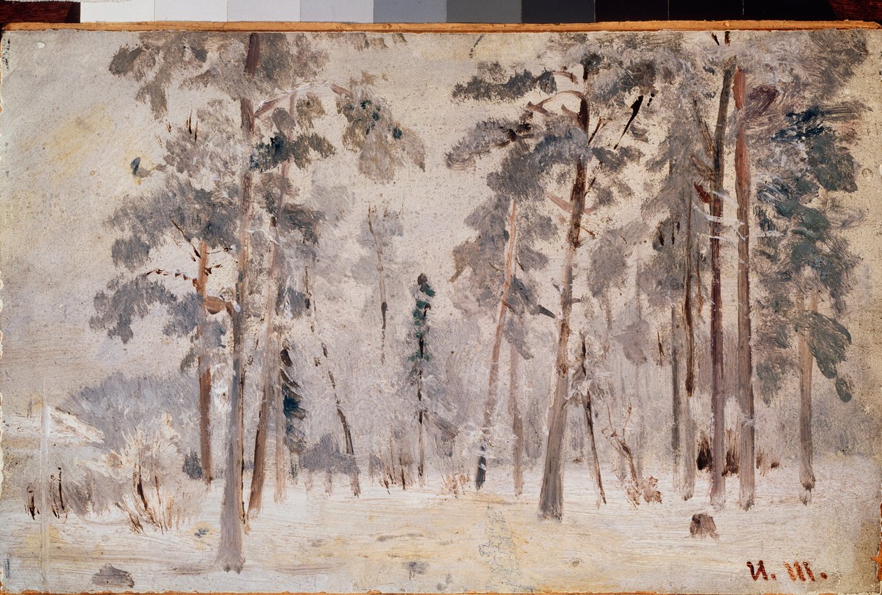 霜 (Hoarfrost) - 伊万-伊万诺维奇-希什金（希什金）（1832-1898 年）的绘画，布面油画，约 1890 年 - 俄罗斯艺术，19 世纪风景 - 国立特列季亚科夫画廊，莫斯科 作者 伊万·伊万诺维奇·希什金