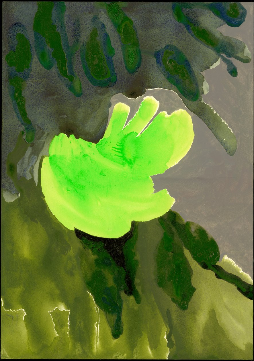 肯辛顿花园系列：Leaf Cascade，2007（纸上混合媒体） 作者 伊莎贝拉·戈德卢斯卡·德·阿兰达