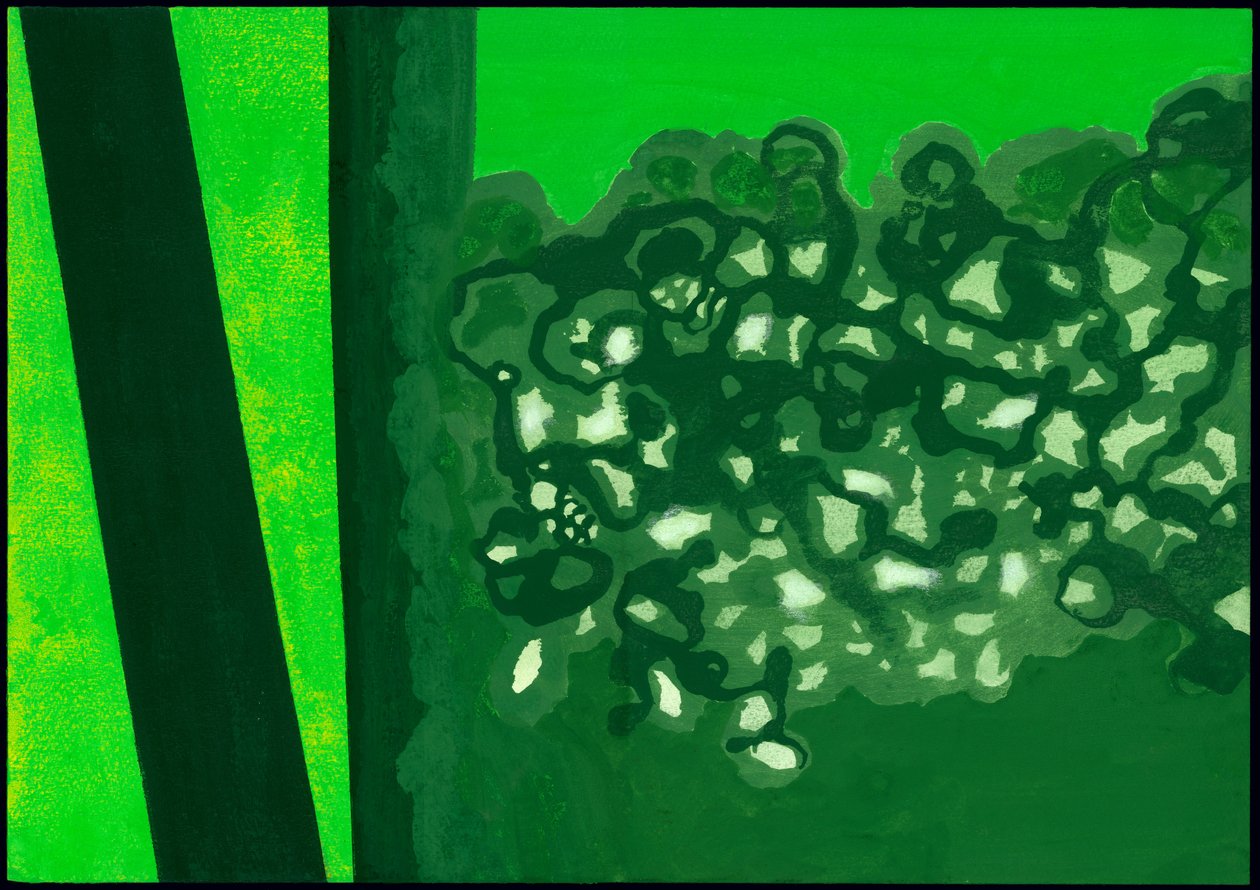 Kensington Gardens Serise：Canopy Shadows，2007（纸上混合媒体） 作者 伊莎贝拉·戈德卢斯卡·德·阿兰达