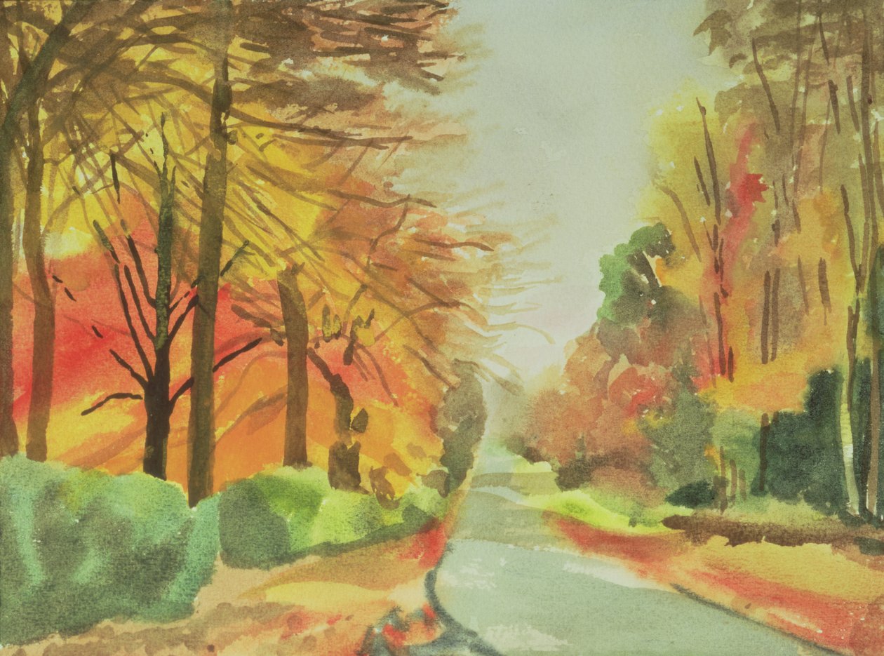 No.47 Autumn，Beaufays Road，Liege，Belgium（wc） 作者 伊莎贝拉·戈德卢斯卡·德·阿兰达