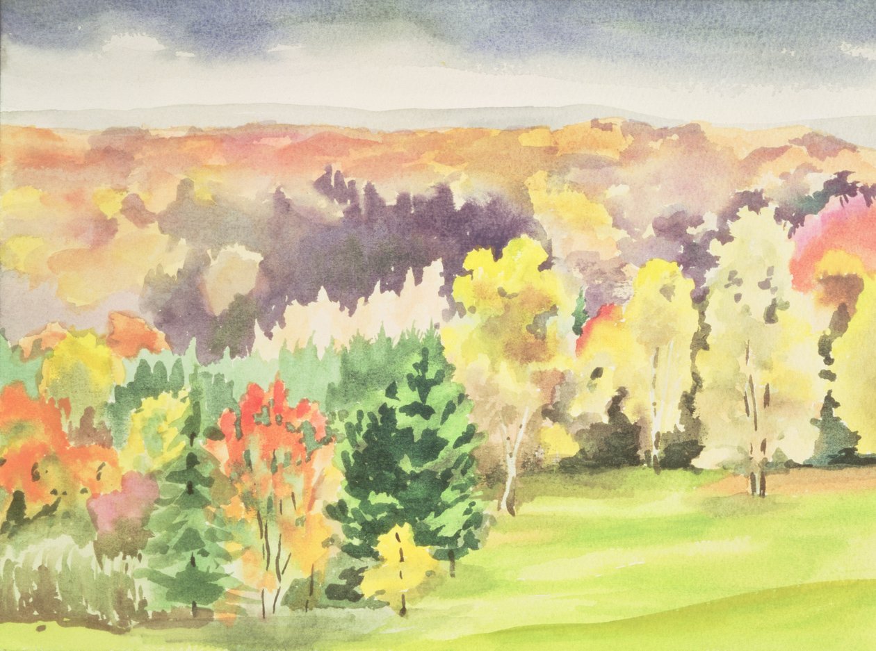 No.64 Autumn，Beaufays，Liege，Belgium（wc） 作者 伊莎贝拉·戈德卢斯卡·德·阿兰达