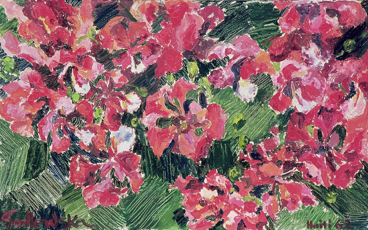 杜鹃花，1962年 作者 伊莎贝拉·戈德卢斯卡·德·阿兰达