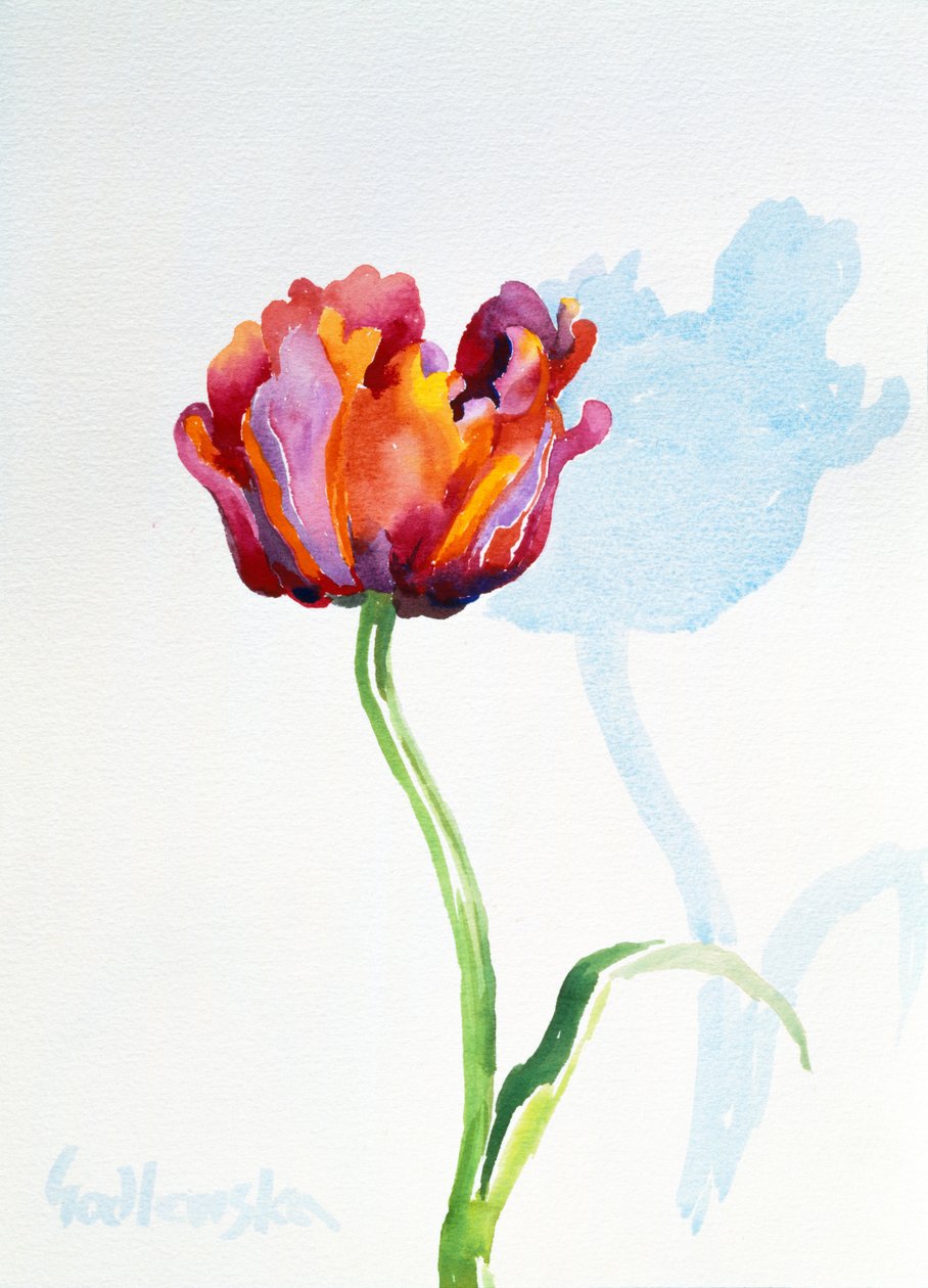 郁金香，1998年（纸上wc）（另见124446和124448） 作者 伊莎贝拉·戈德卢斯卡·德·阿兰达