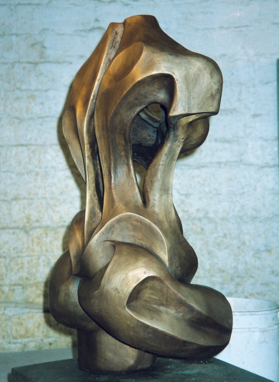 女人，2001年（古铜色） 作者 伊莎贝拉·戈德卢斯卡·德·阿兰达
