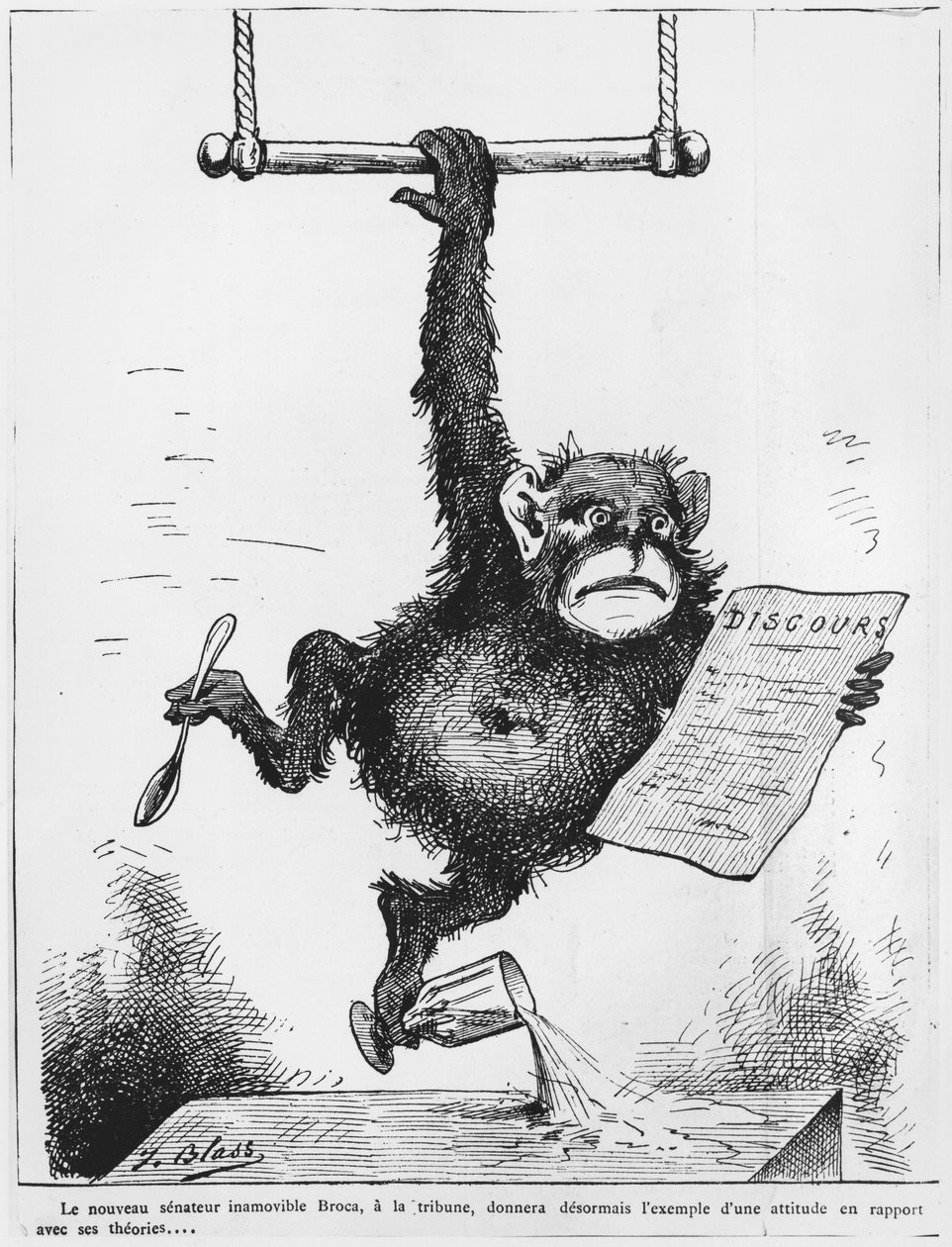 保罗布罗卡的漫画（1824-80）插图来自&39;Le Triboulet&39;，1880年 作者 帕尔
