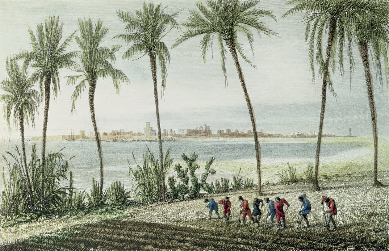 加的斯一般视图，由John Pye（1782-1874）雕刻 作者 泰勒