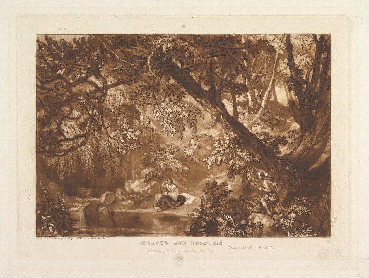 Aesacus and Hesperie, Vide Ovid Metamorphosis, Book XI Liber Studiorum, part X..., January 1, 1819. 作者 约瑟夫·马洛德·威廉·特纳