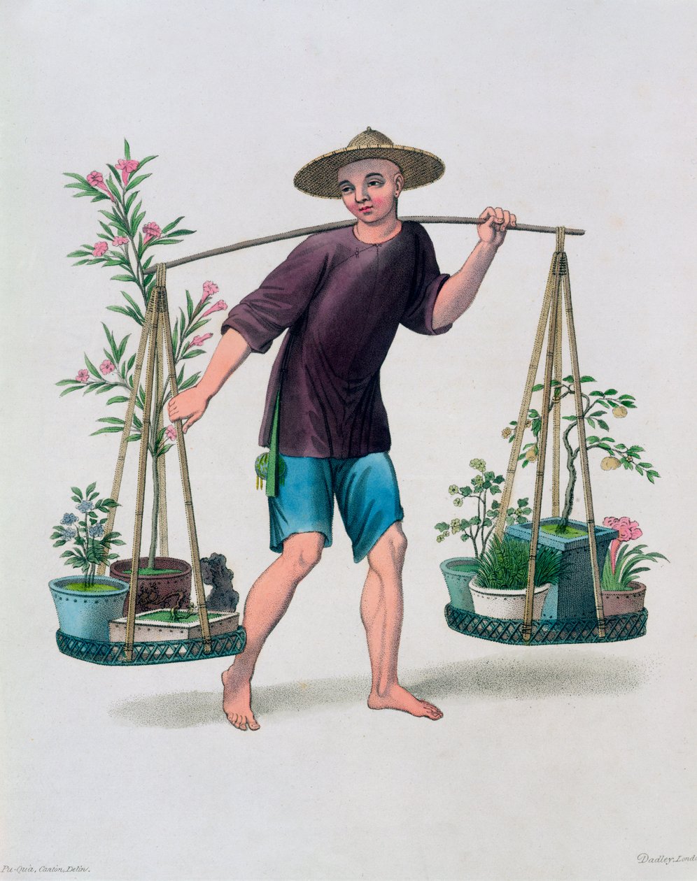 有果树和鲜花的搬运工》，中国，1800年 作者 达德里
