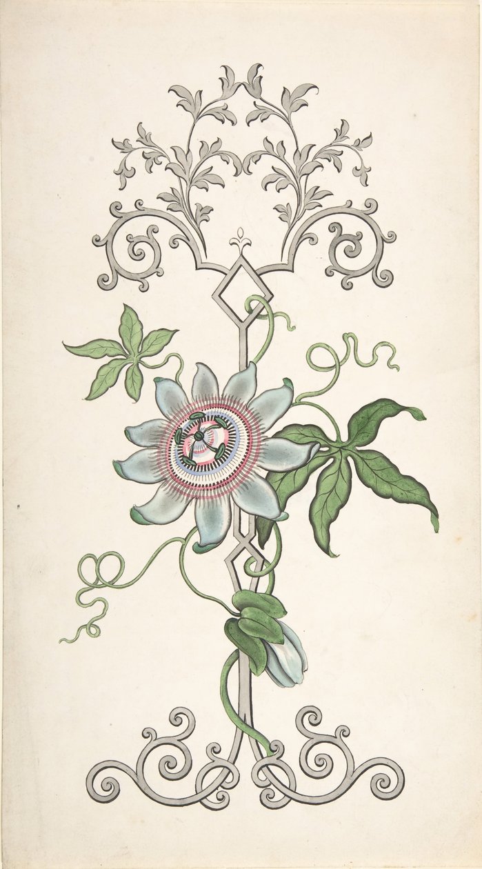 以西番莲为中心的面板装饰设计，1828-40。 作者 J·赫尔姆