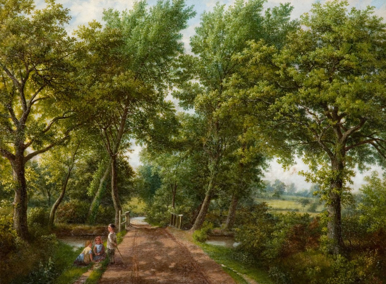 伯明翰Hobb Moor Road Ford，1870年代。 作者 J·乔利