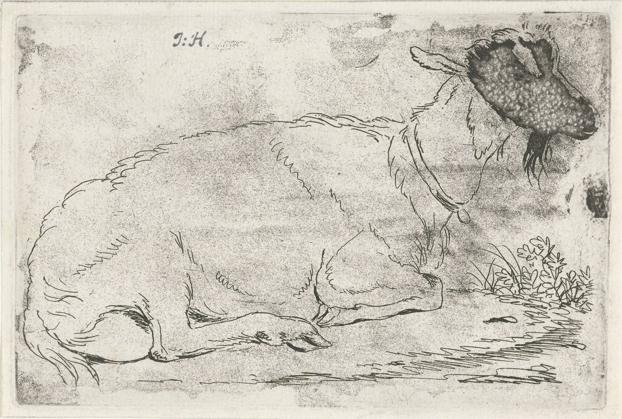 躺着的山羊 作者 Jabes Heenck（艺术家签名）