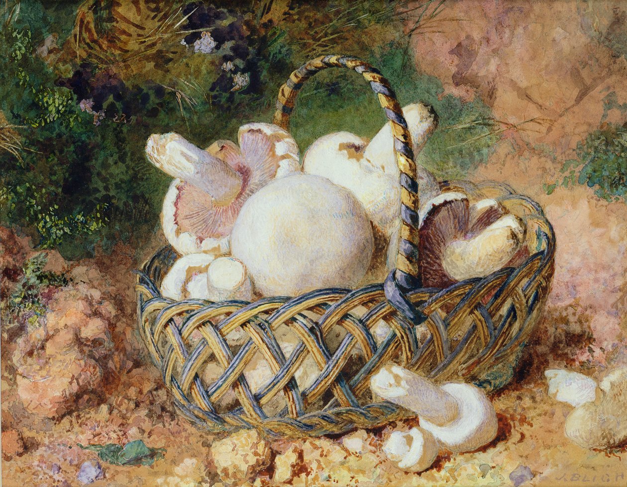 一篮子蘑菇，1871年（参见215285） 作者 贾比斯·布莱（Jabez Bligh）