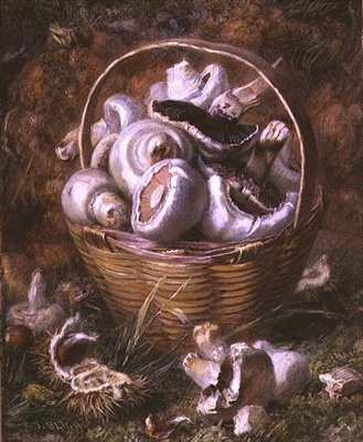 蘑菇（水彩和水粉画） 作者 贾比斯·布莱（Jabez Bligh）