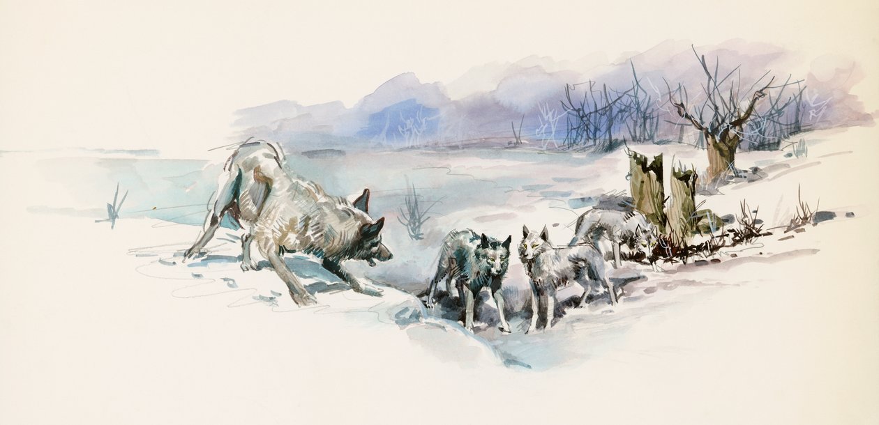 狼群，来自杰克·伦敦（Jack London，1876-1916）的冒险小说《野性的呼唤》，绘画 作者 杰克·伦敦
