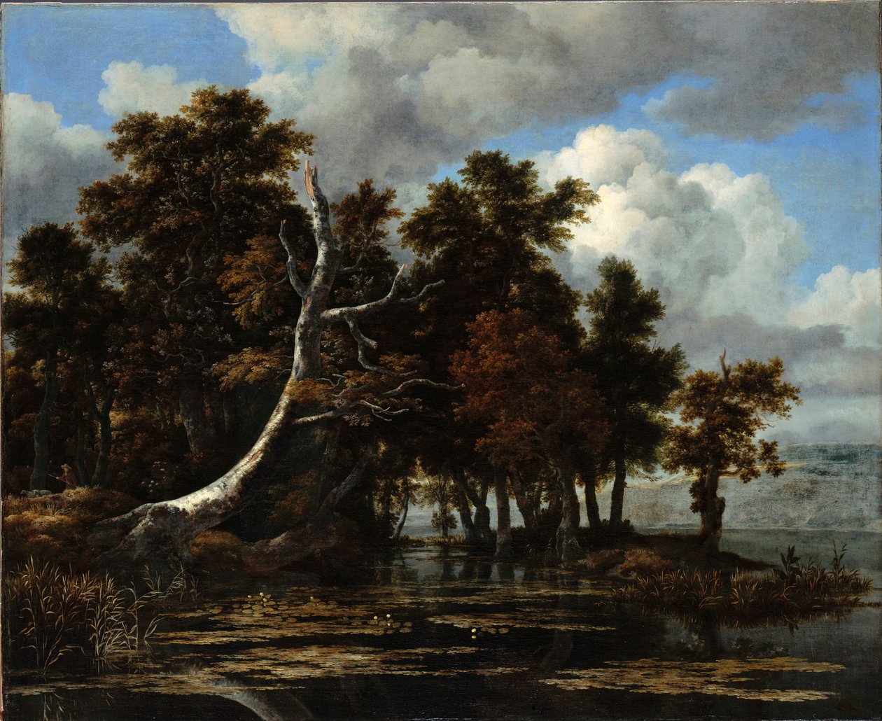 "" Chenes sur les berges d