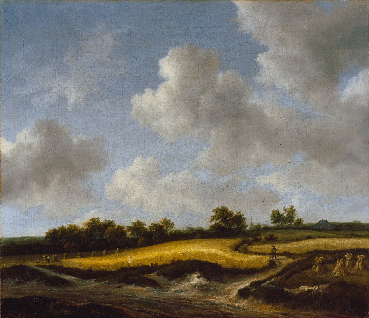 景观与Wheatfield，c.1660 作者 雅各布范瑞斯达尔