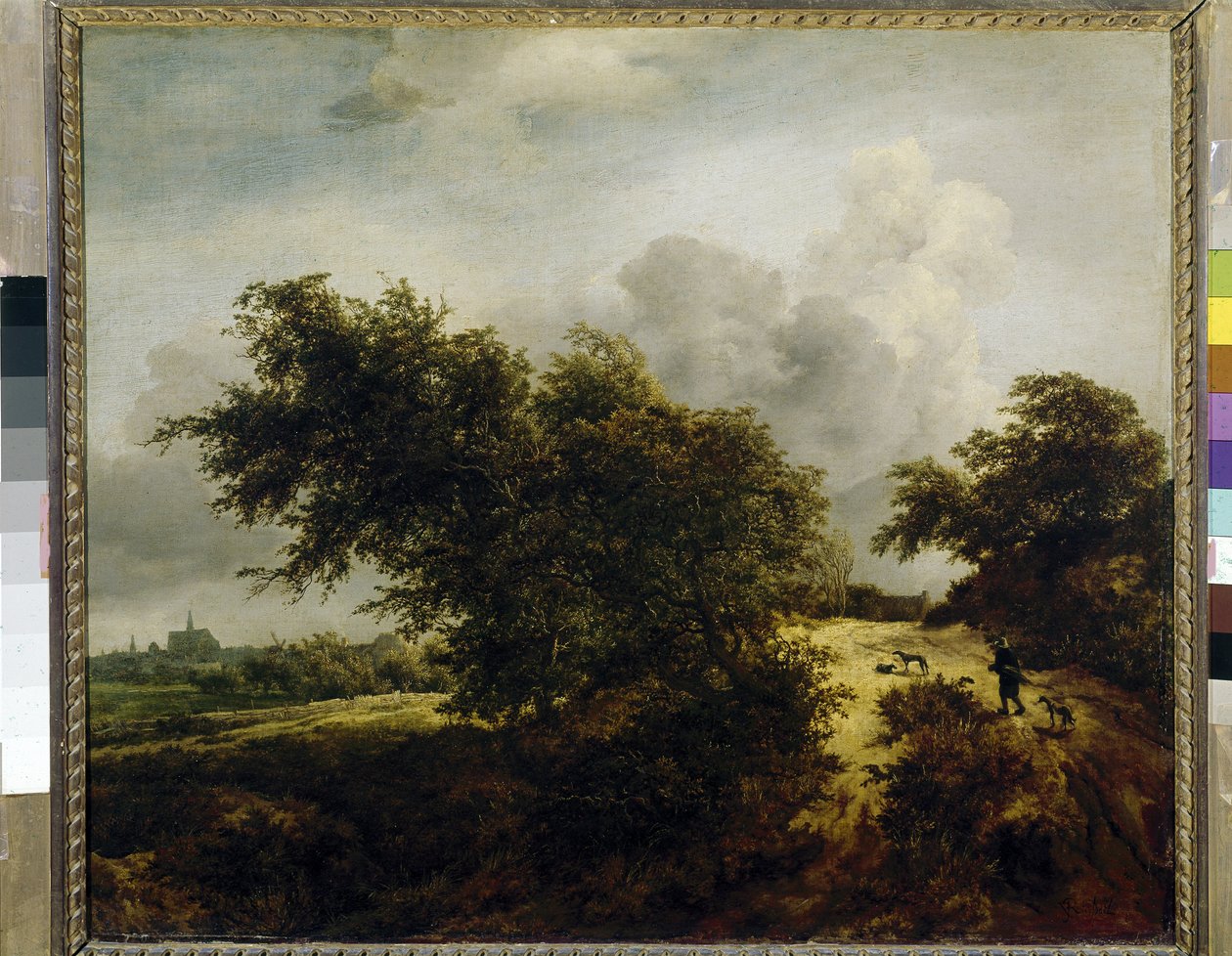 Le Buisson（布什），c。 1647（布面油画） 作者 雅各布范瑞斯达尔