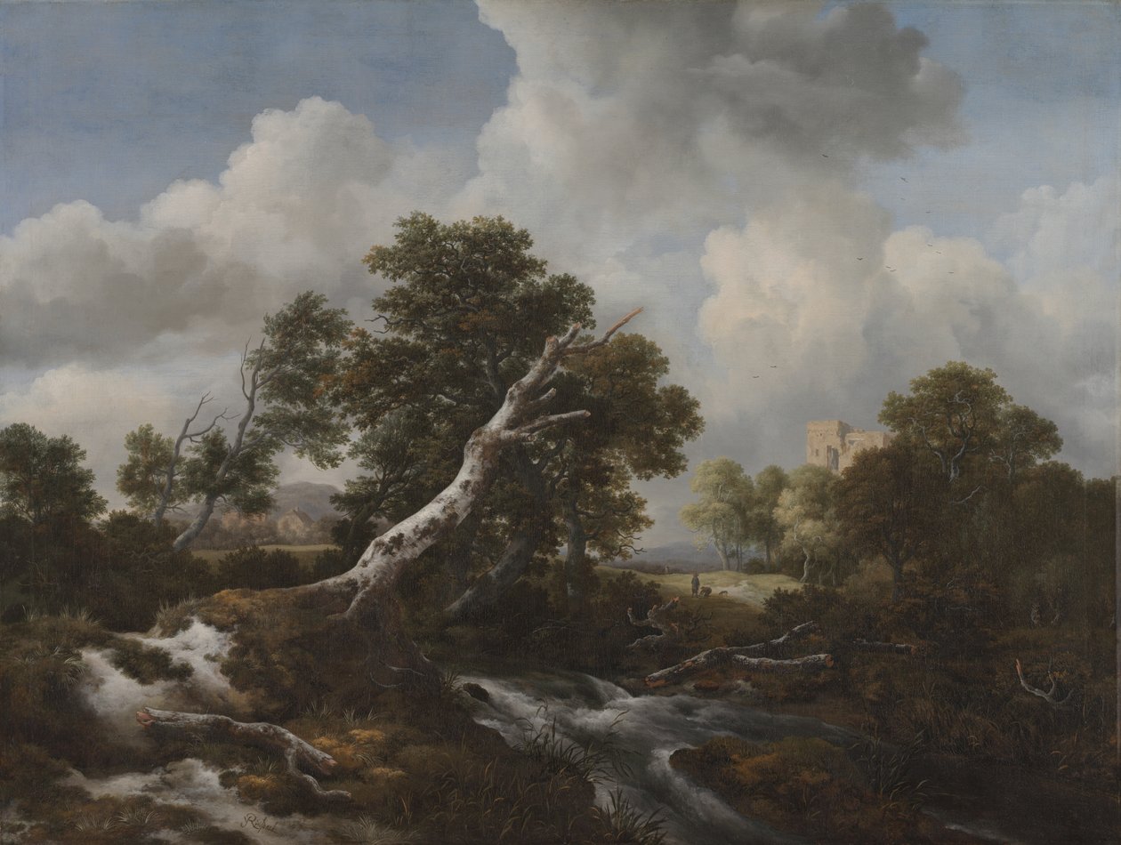 在一个树木繁茂的风景的低瀑布与一棵死的山毛榉树，c。 1660-70 作者 雅各布范瑞斯达尔