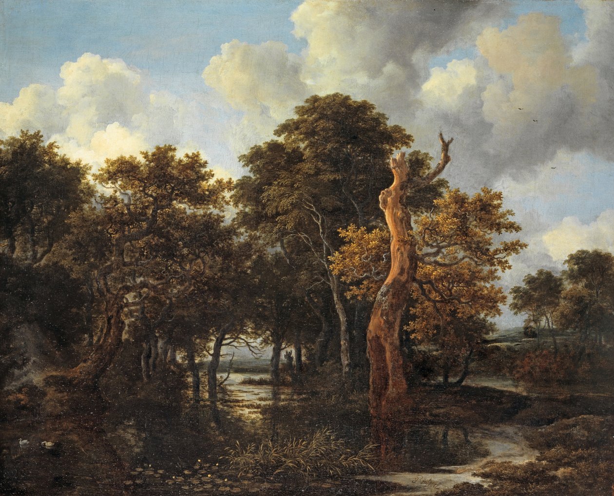 与死的树的木沼泽风景，c.1665 作者 雅各布范瑞斯达尔
