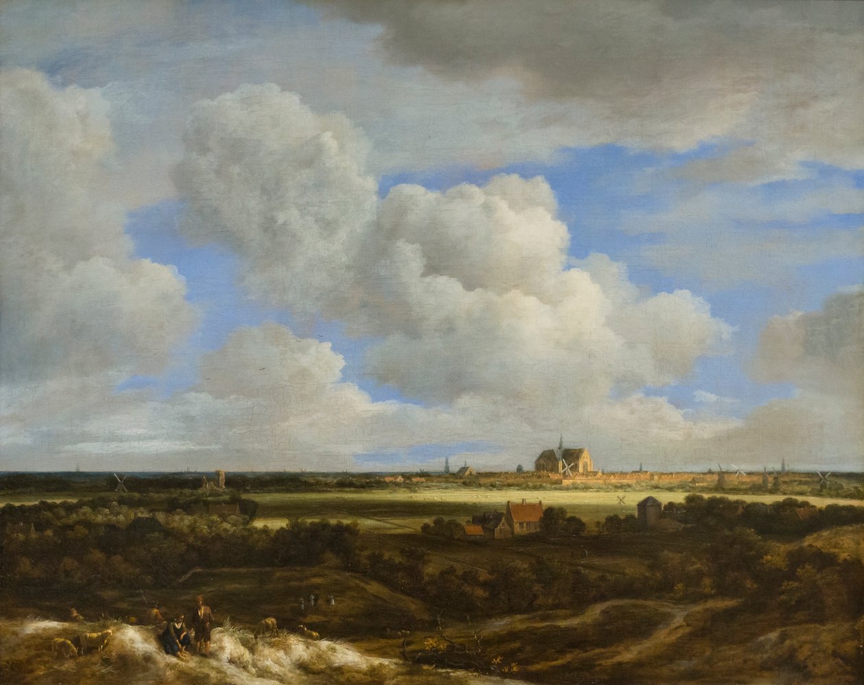 哈勒姆全景，约 1669 年（布面油画） 作者 雅各·萨洛蒙斯（Jacob Salomonsz）。鲁斯代尔