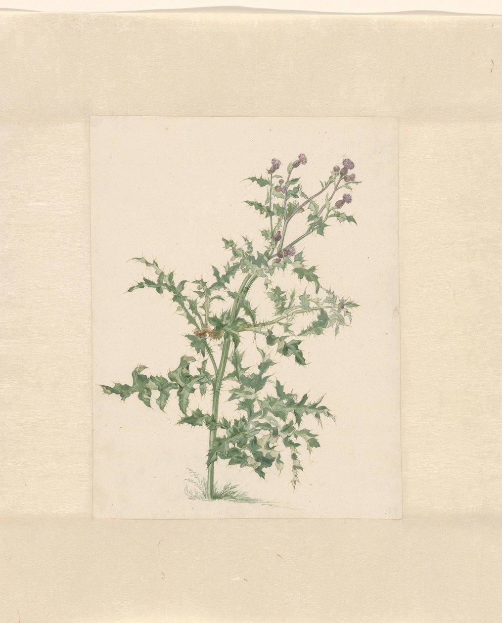开花植物 作者 雅各布·范·艾登 (II)