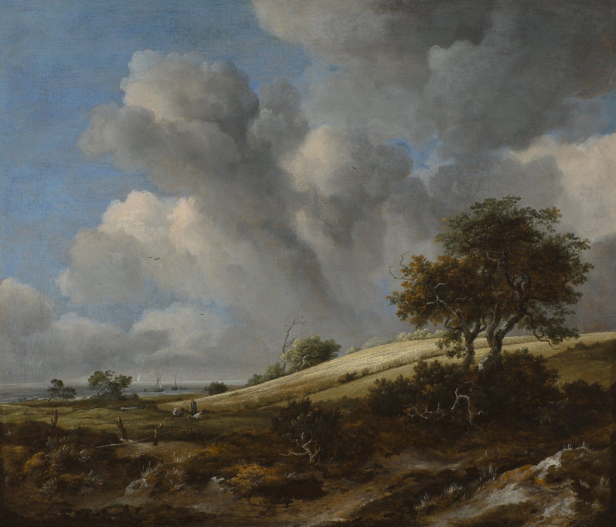 玉米地里有Zuiderzee，c。 1660 作者 雅各布范瑞斯达尔