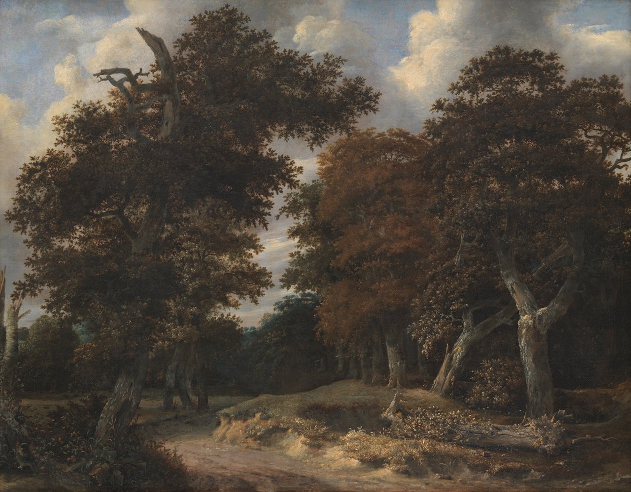 Road through an Oak Forest   1419864   zh       chinese Successfully Translated  Original: Lord Carnarvons first visit to the Valley of the Kings: Lord Carnarvon (1866-1923) and party in a motor car Translat: Lord Carnarvon