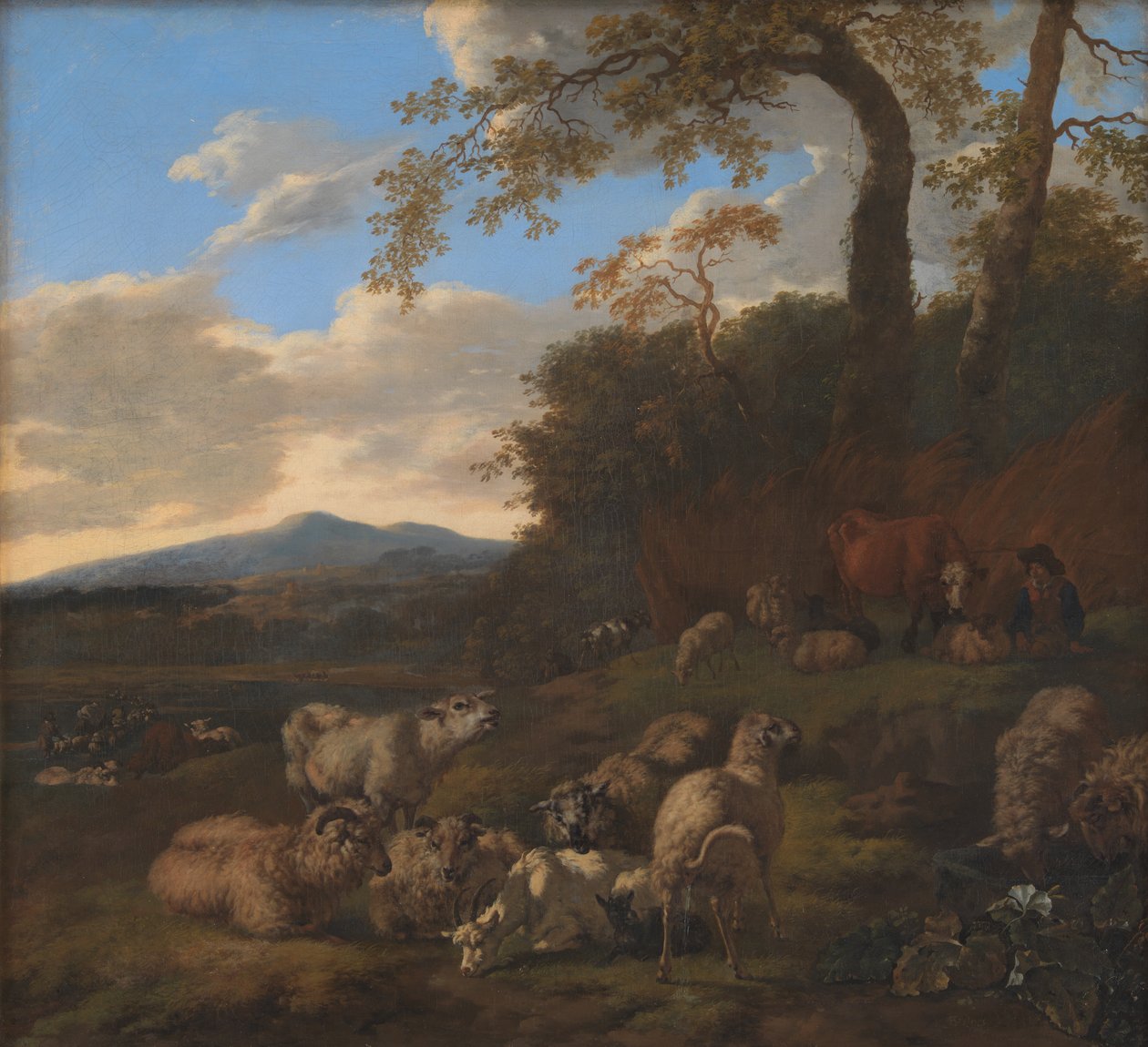羊群 作者 Jacob van der 长老。