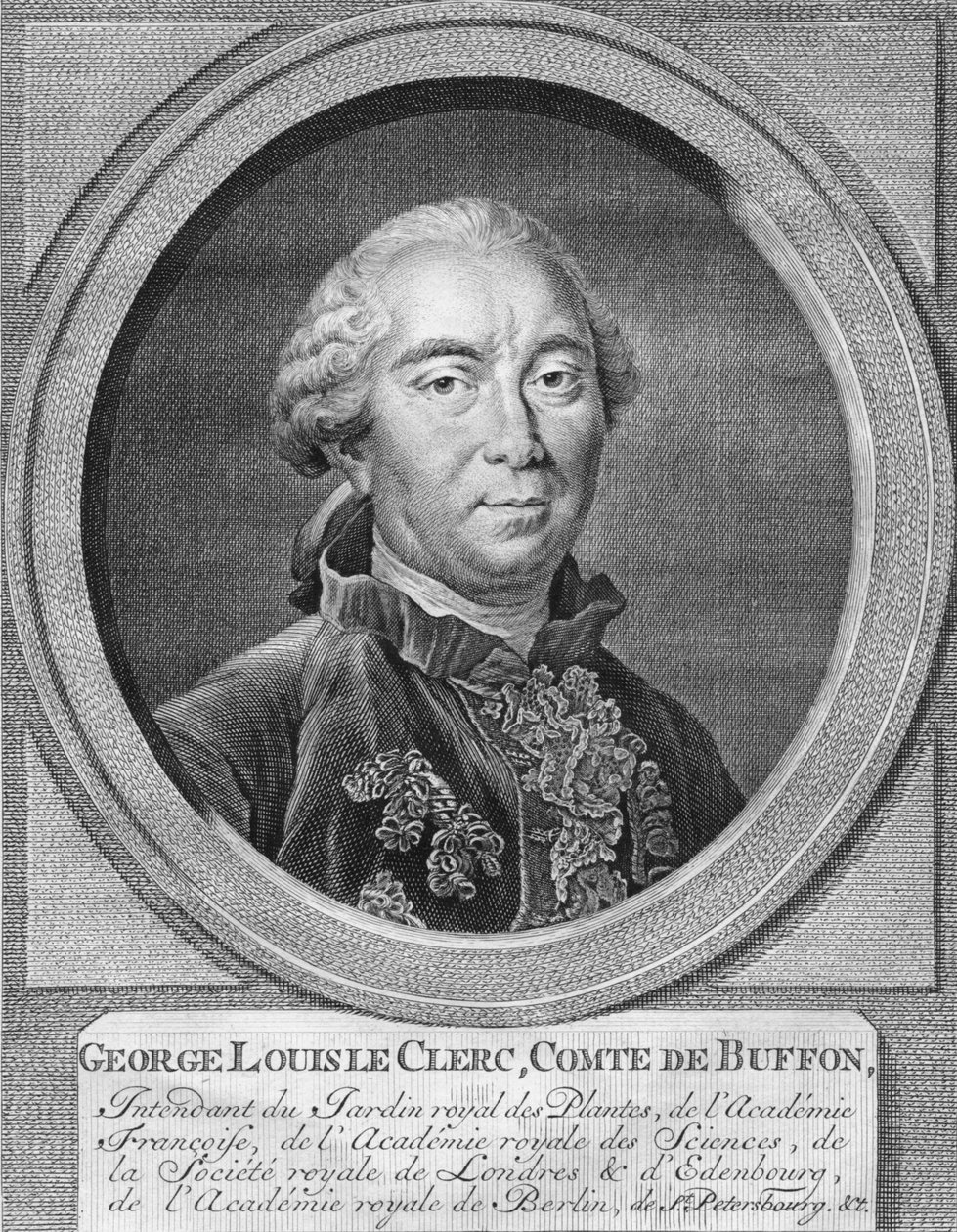 乔治·路易斯（George Louis）的书记员，布冯伯爵（Count De Buffon），1774年。 作者 雅各布斯·霍布拉肯