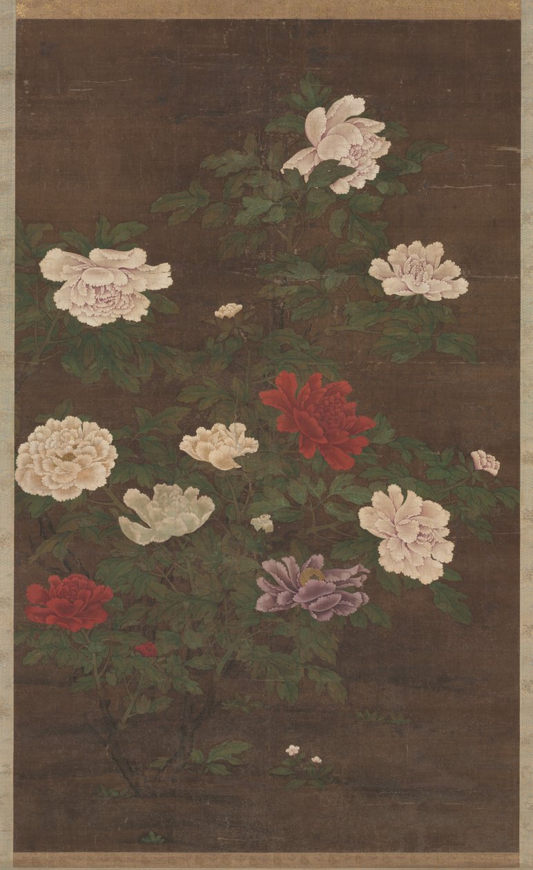 牡丹 作者 贾科梅托·韦内齐亚诺