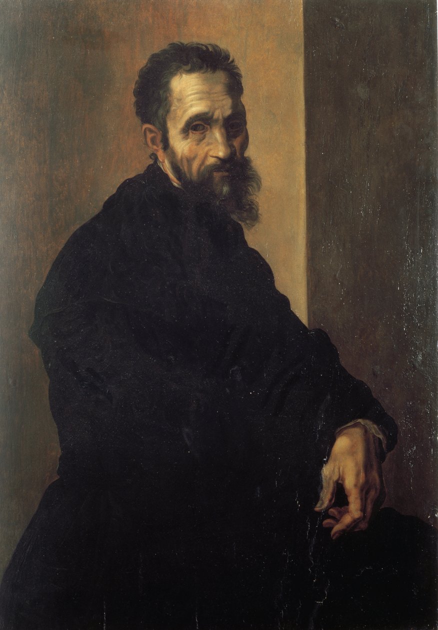 米开朗基罗的肖像 Buonarroti dit Michelangelo (Michelangelo or Michel Ange 作者 Jacopino del Conte