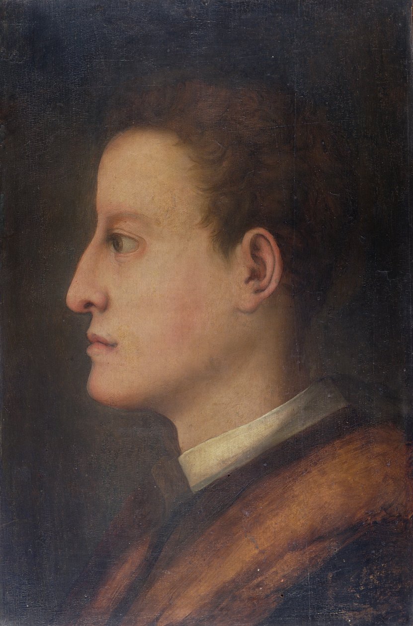 Cosimo de&39;Medici I（1519-74）作为一个年轻人，c.1537 作者 雅各布·蓬托尔莫