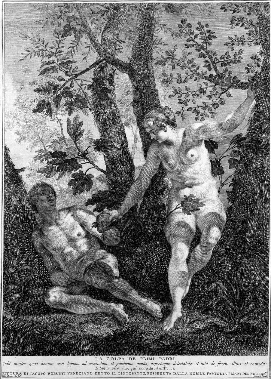 亚当和夏娃，由Pietro Monaco雕刻，c.1741-52 作者 雅各布·罗布斯提·丁托列托