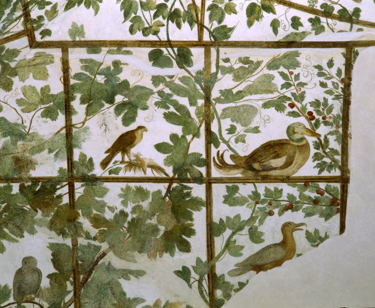 Villa Medici的鸟舍壁画，见1576-77 作者 雅各布·祖基
