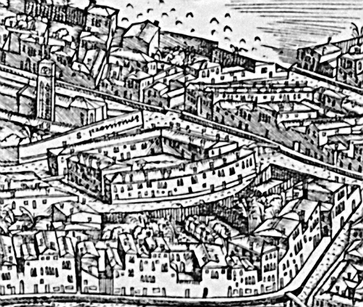 大透视植物 - 威尼斯，少数民族居住区的细节，c1500雕刻细节416593 作者 雅各布·德·巴巴里