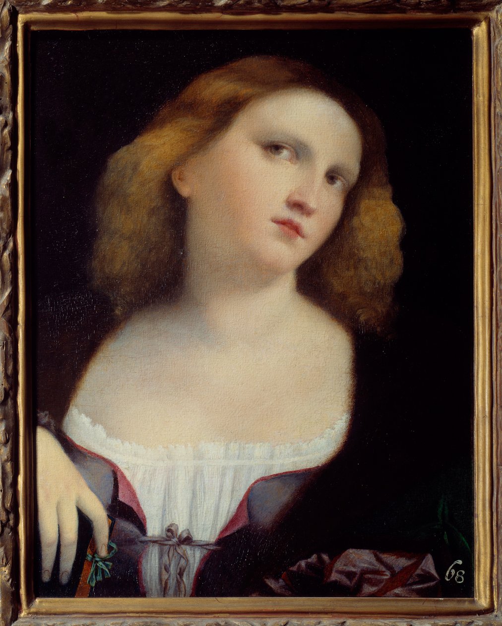 女人的肖像 木头上的绘画转印在画布上，Jacopo Palma il Vecchio (1480-1528) 1513 Dim.0.48 x 0.38米 里昂，艺术博物馆 作者 哈科波（c.1480-1528）帕尔玛