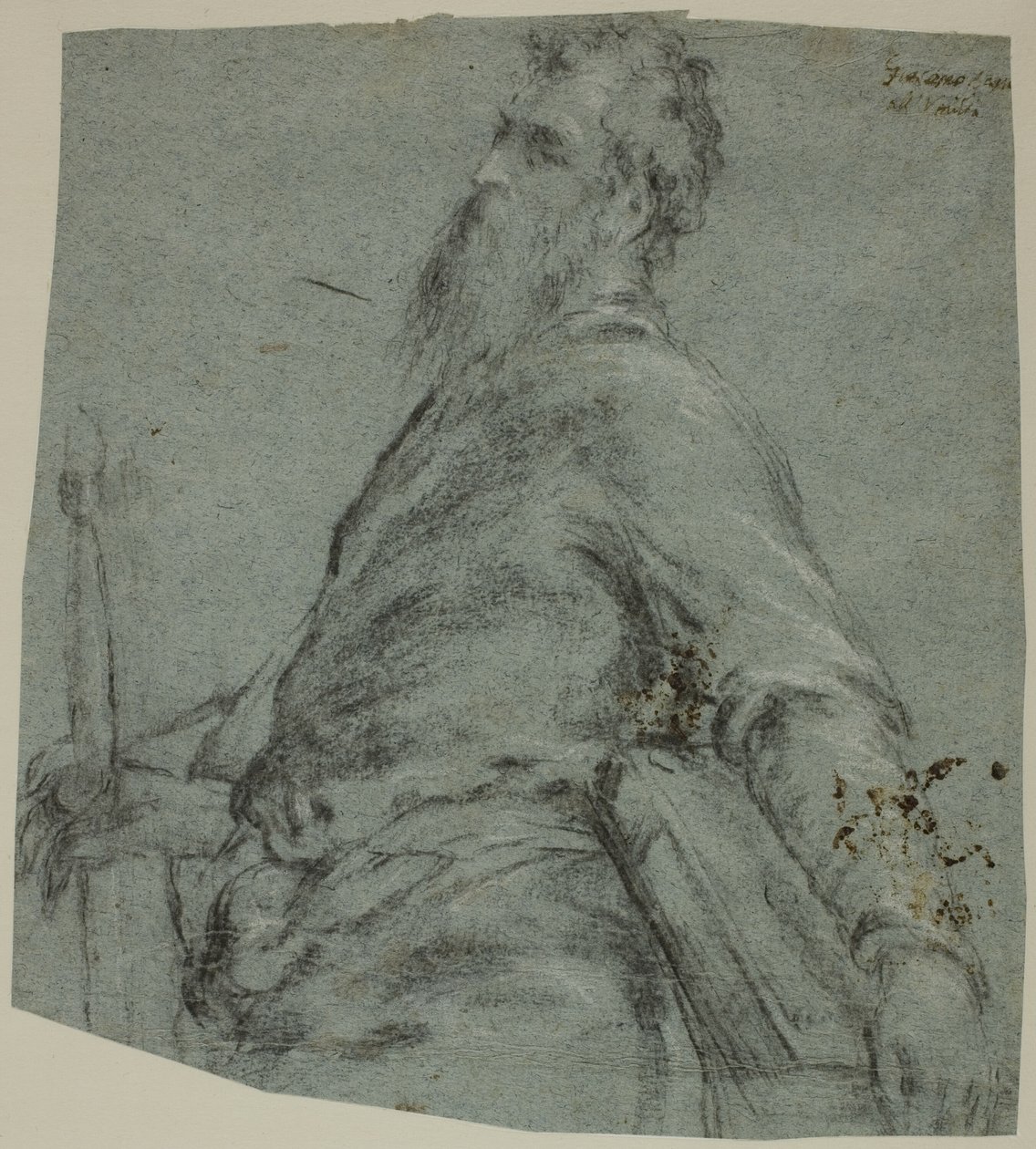 圣保罗半身像研究 作者 哈科波·巴萨诺（Jacopo Bassano）