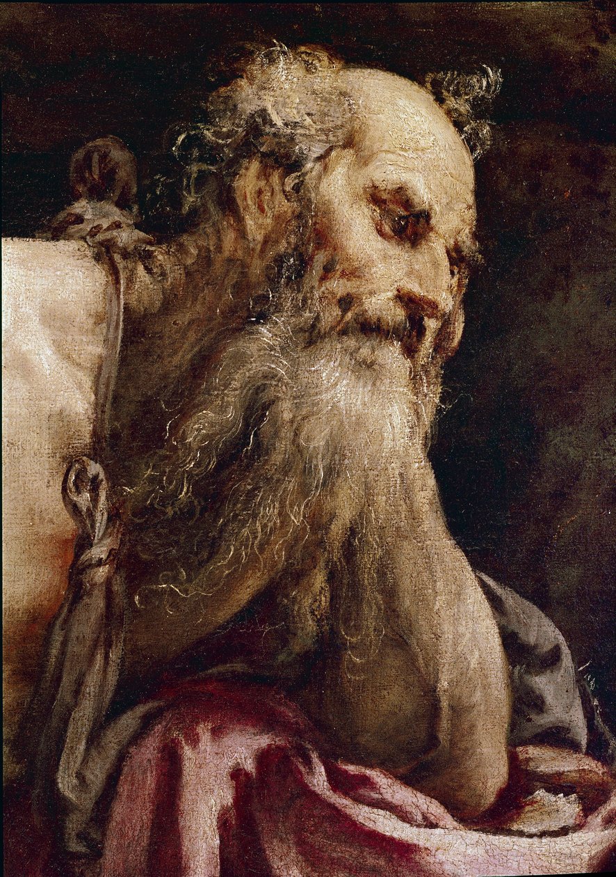 冥想中的圣杰罗姆 作者 哈科波·巴萨诺（Jacopo Bassano）