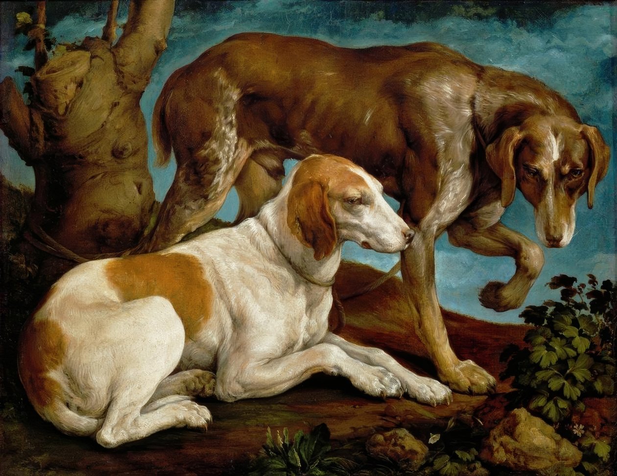 两只猎犬，绑在一个树桩上 作者 哈科波·巴萨诺（Jacopo Bassano）