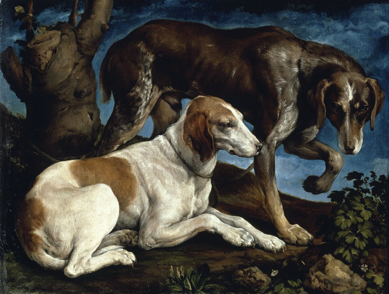两条猎犬，1548-1549年。 作者 雅各布·巴萨诺·韦基奥