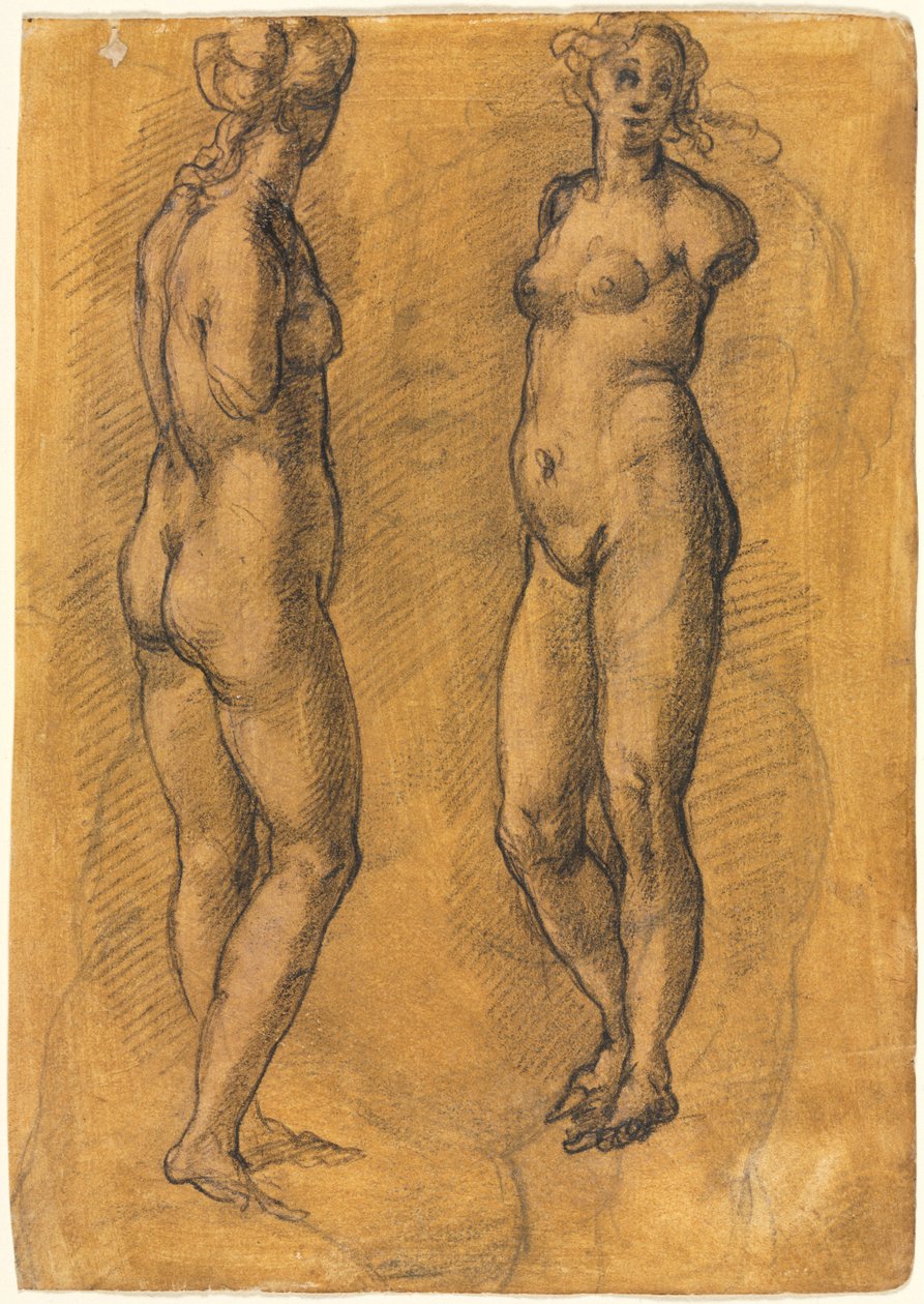 古董站立女子雕像的复制品（两视图），画在普托素描之上 作者 哈科波·奇门蒂