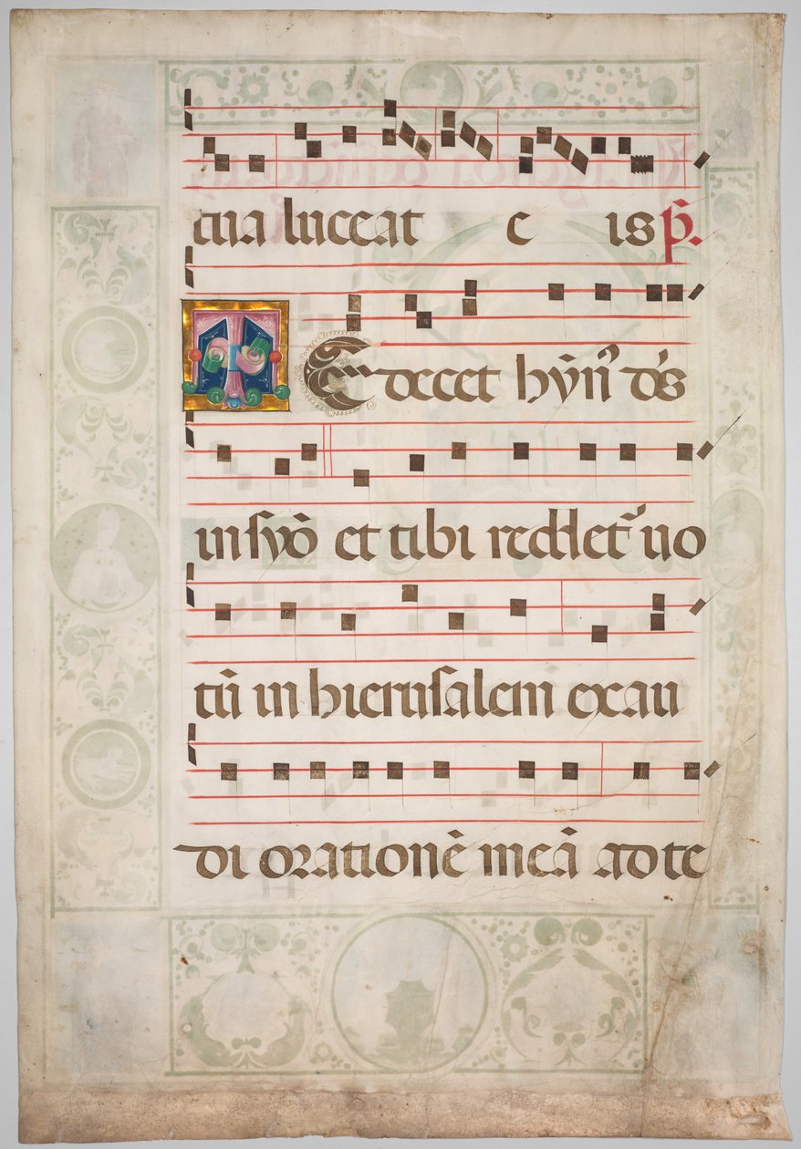 渐变叶片装饰首字母（背面） 作者 Jacopo Filippo d'Argenta