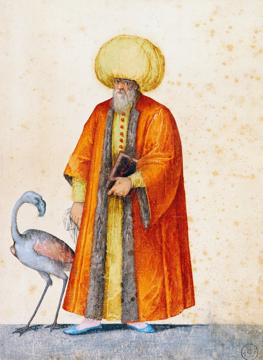 Jacopo Ligozzi（1547-1627）画的火烈鸟土耳其人 作者 雅各布·利戈齐（Jacopo Ligozzi）