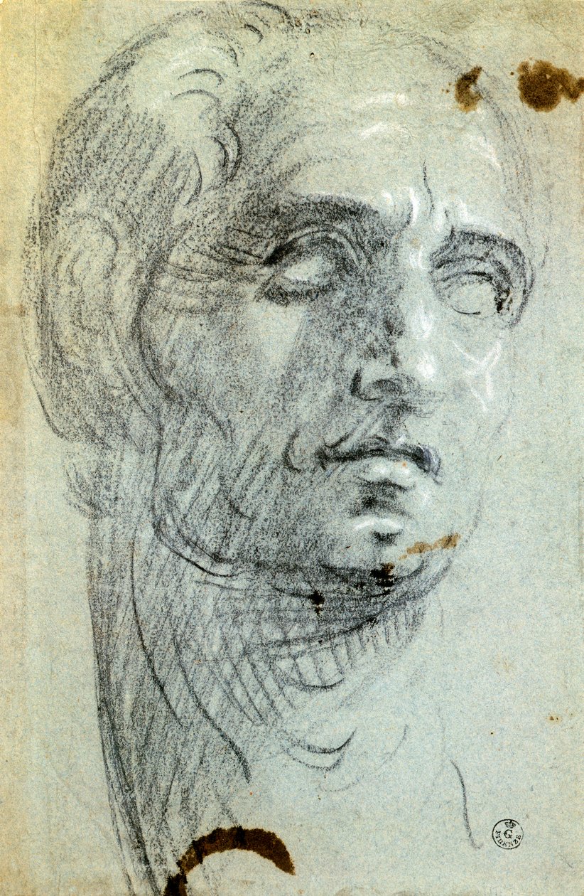 被称为丁托列托的雅克波-罗布斯蒂（1518-1594）的男性头像，图画 作者 雅各布·罗布斯提·丁托列托