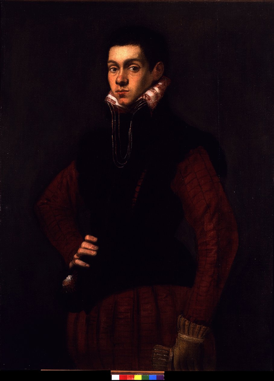 一名年轻男子的画像，约c.1565（布面油画） 作者 雅各布·罗布斯提·丁托列托