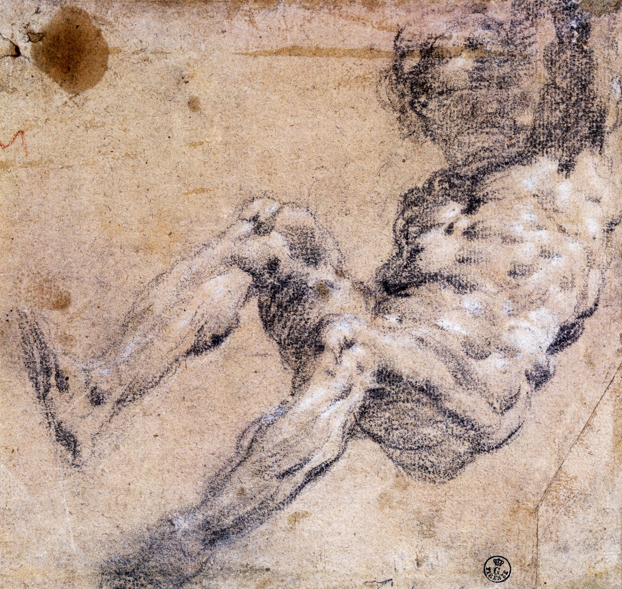 Study of male nude 作者 雅各布·罗布斯提·丁托列托